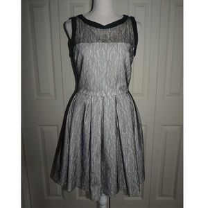 Zara Basic Gray with Black Lace Dress